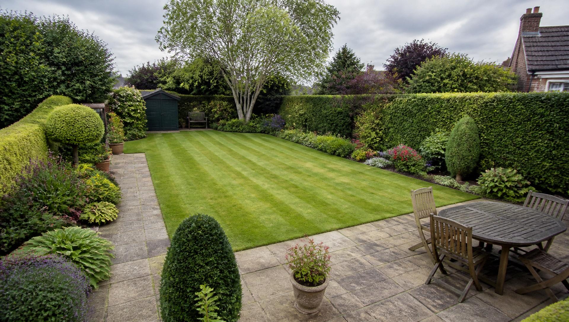 A beautifully maintained back garden with striped lawn, hedges and borders