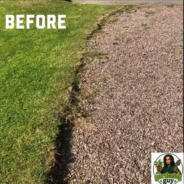 Ragged lawn edge along a gravel drive before