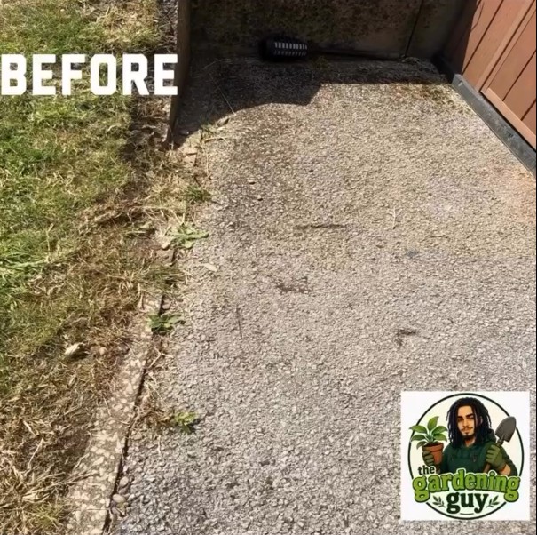 Grass off the drive, edge held to a line — before Louis started
