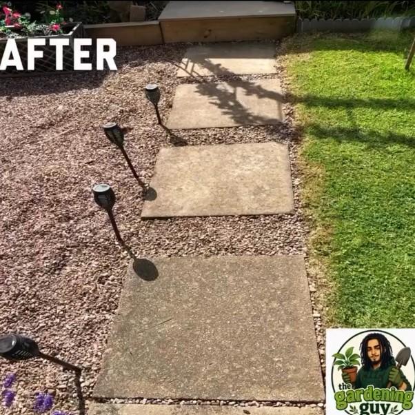 Stepping-stone path rescued from weeds — after Louis finished