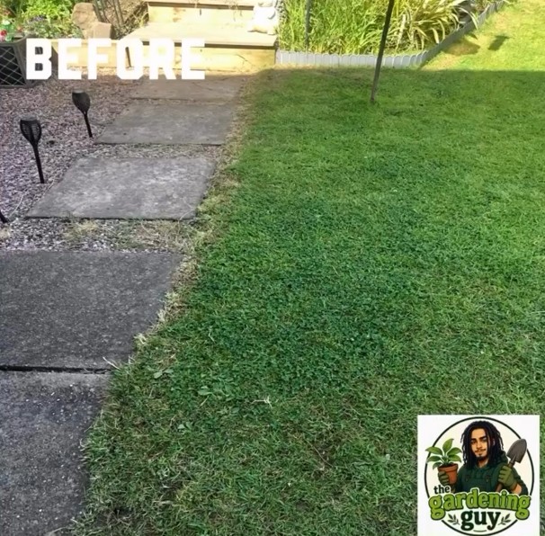 Stepping-stone path rescued from weeds — before Louis started
