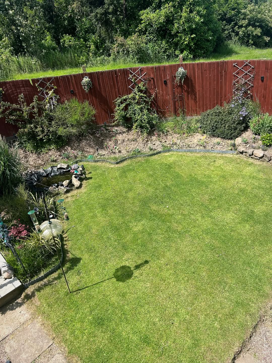 Neat, mown back lawn after