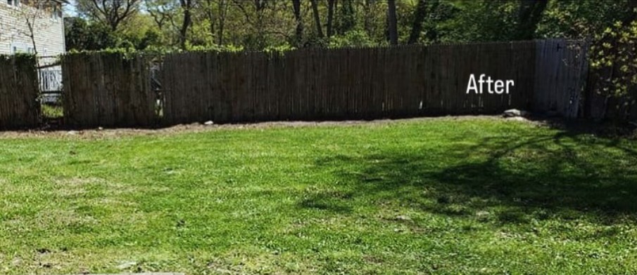 Waist-high back lawn reset — after Louis finished