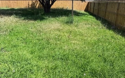 Big back lawn, striped and level — before Louis started